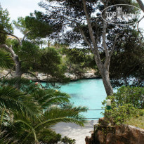 фото из отзыва ID 757223