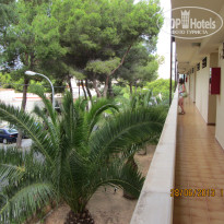 фото из отзыва ID 757531