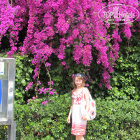 фото из отзыва ID 757531