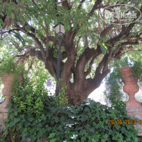 фото из отзыва ID 757531