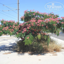 фото из отзыва ID 757617