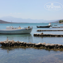 фото из отзыва ID 757648