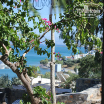 фото из отзыва ID 757648