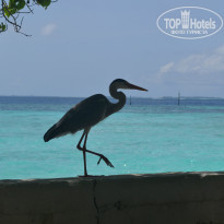 фото из отзыва ID 757708