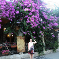 фото из отзыва ID 757951