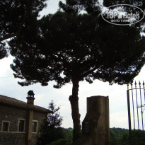 фото из отзыва ID 757341