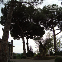 фото из отзыва ID 757341