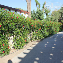 фото из отзыва ID 758676