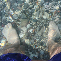 фото из отзыва ID 758676