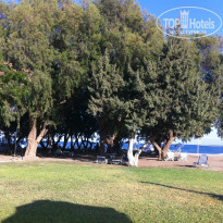 фото из отзыва ID 758676