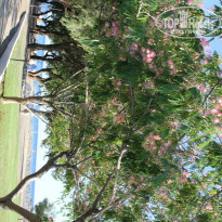 фото из отзыва ID 758676