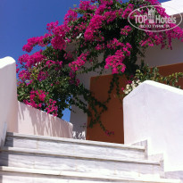 фото из отзыва ID 758676