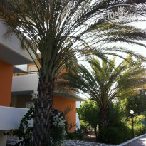 фото из отзыва ID 758676