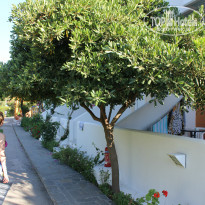 фото из отзыва ID 758676