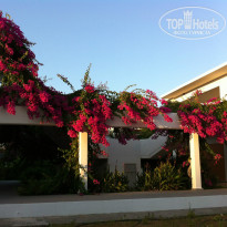 фото из отзыва ID 758676