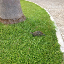 фото из отзыва ID 758740