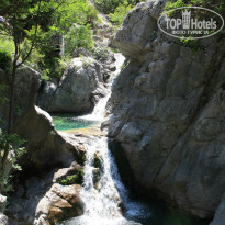 фото из отзыва ID 758889