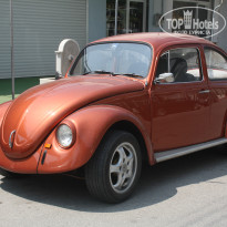 фото из отзыва ID 758889