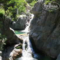 фото из отзыва ID 758889