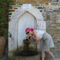 фото из отзыва ID 758889