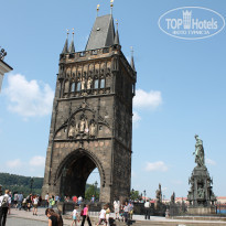 фото из отзыва ID 758618