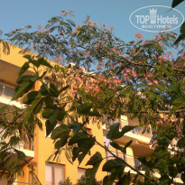 фото из отзыва ID 760254