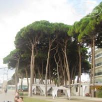 фото из отзыва ID 760381