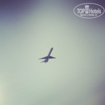 фото из отзыва ID 760819