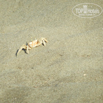 фото из отзыва ID 760892