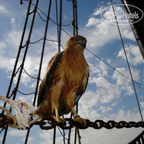 фото из отзыва ID 760911