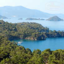 фото из отзыва ID 760892