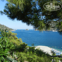 фото из отзыва ID 760892