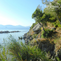 фото из отзыва ID 760892