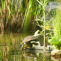 фото из отзыва ID 760892