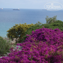 фото из отзыва ID 760736