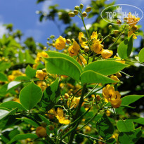 фото из отзыва ID 760423