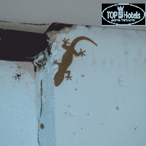 фото из отзыва ID 76046