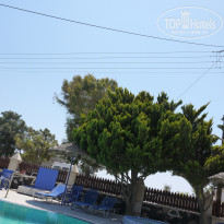 фото из отзыва ID 761476