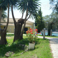 фото из отзыва ID 761765