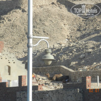 фото из отзыва ID 761908