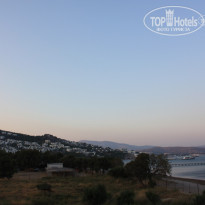 фото из отзыва ID 761897