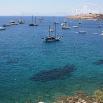 фото из отзыва ID 761897