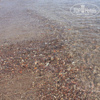 фото из отзыва ID 761897