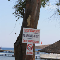 фото из отзыва ID 761897