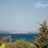 фото из отзыва ID 761897