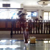 фото из отзыва ID 761224