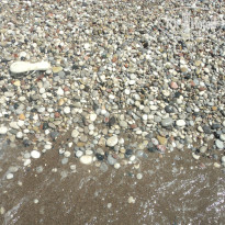 фото из отзыва ID 762527