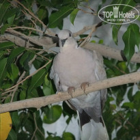 фото из отзыва ID 762694