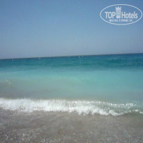 фото из отзыва ID 762709