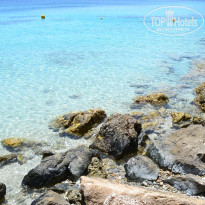 фото из отзыва ID 762738
